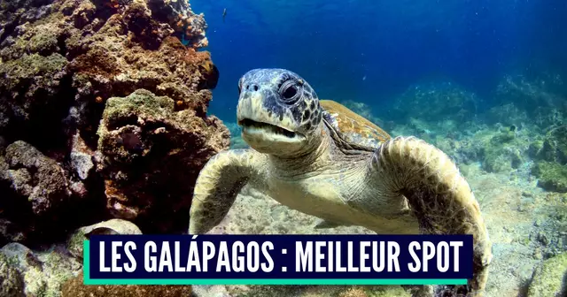 shutterstock_152041847 (1)