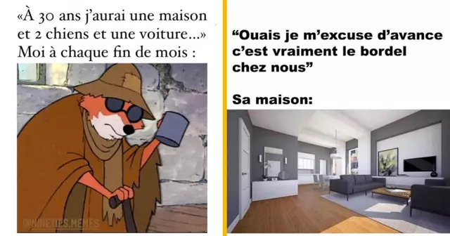 top memes maison