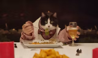 3039942-poster-p-1-watch-13-dogs-and-a-cat-have-a-pefectly-civilized-holiday-feast-for-freshpet