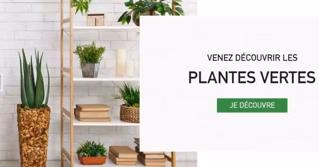ma-petite-jardinerie-site-plantes