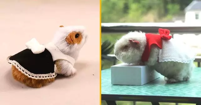 costume-soubrette-cochon-dinde