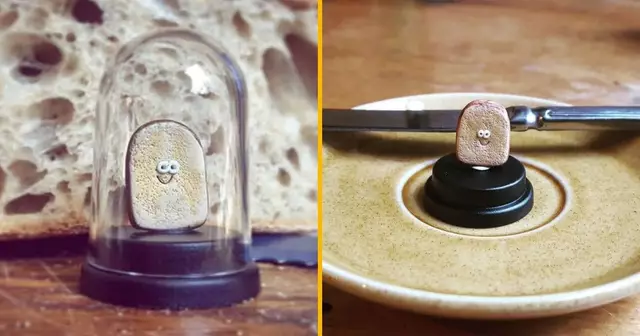 toast-animal-compagnie