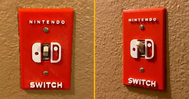 cache-interrupteur-nintendo-switch-fans-console