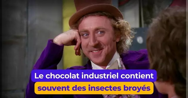 Copie de UNE Quentin - FULL (49)