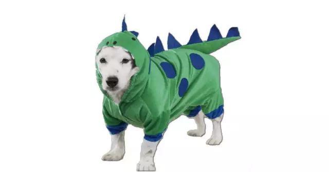 chien-dragon