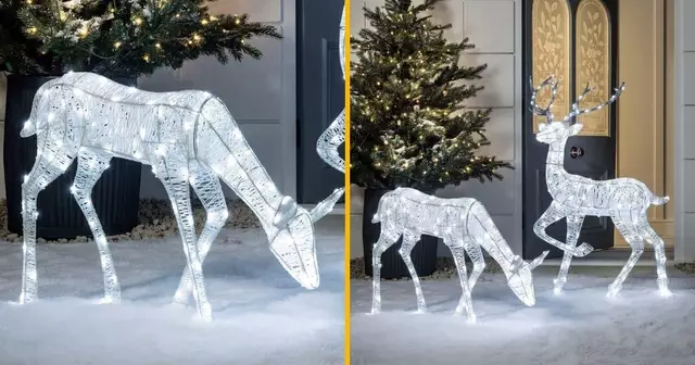 rennes-lumineux-jardin-feerique