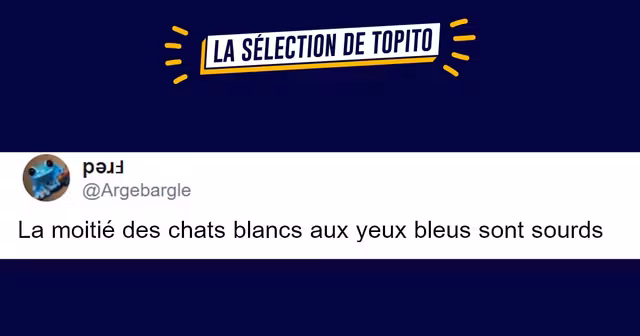 top savoirs inutiles 2