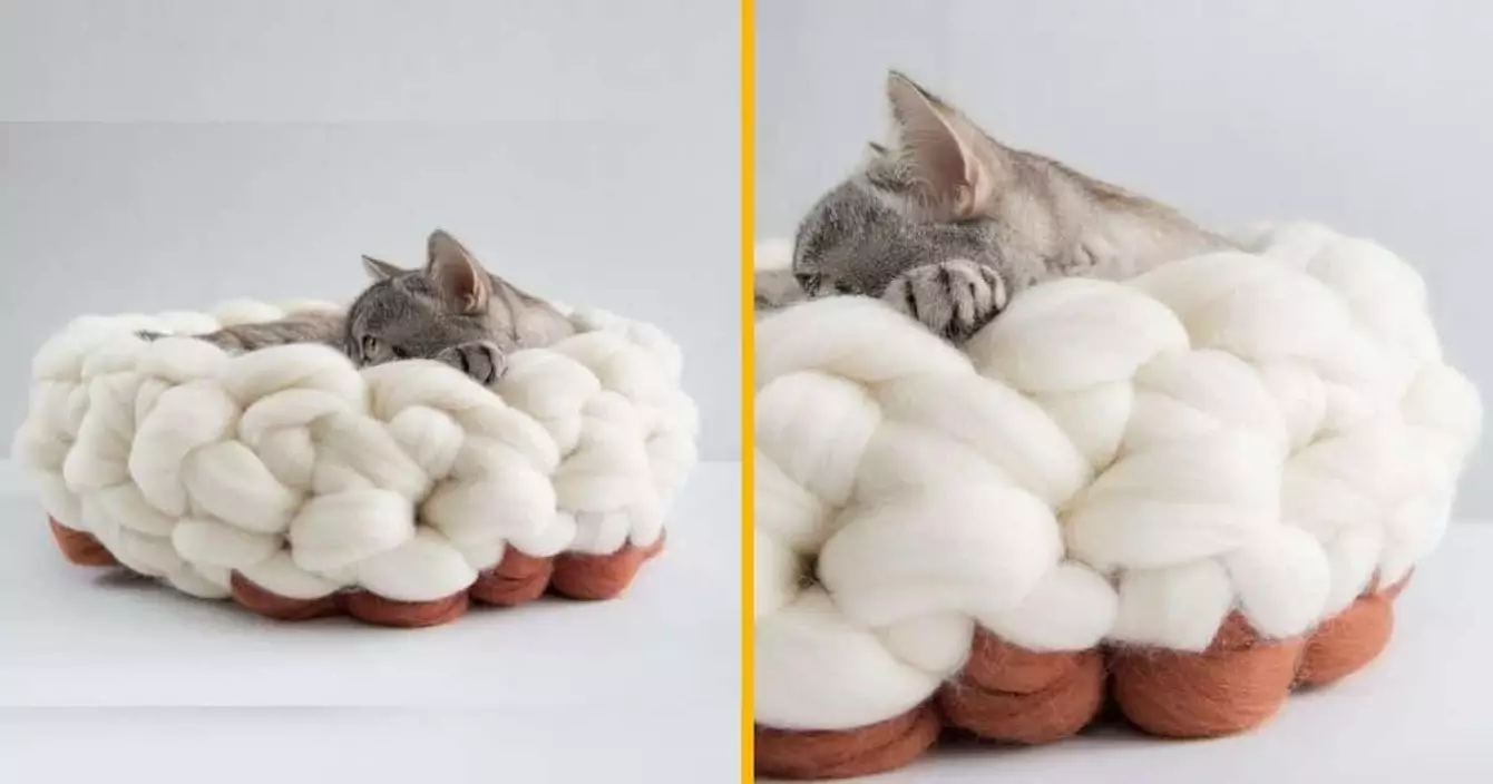 lit-baroque-royal-animal-compagnie