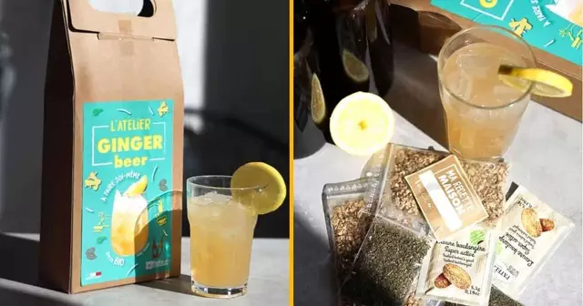 kit-fabriquer-ginger-beer-fans-moscow-mule