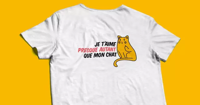 SAINT-VALENTIN-2020_une_je-taime-chat