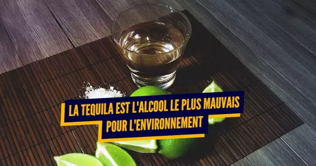 une_alcools_environnement