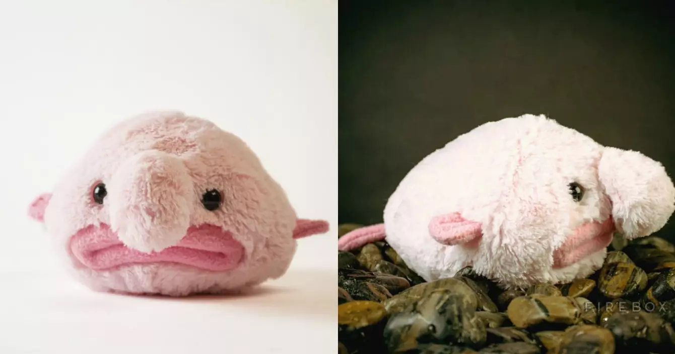 peluche-blobfish