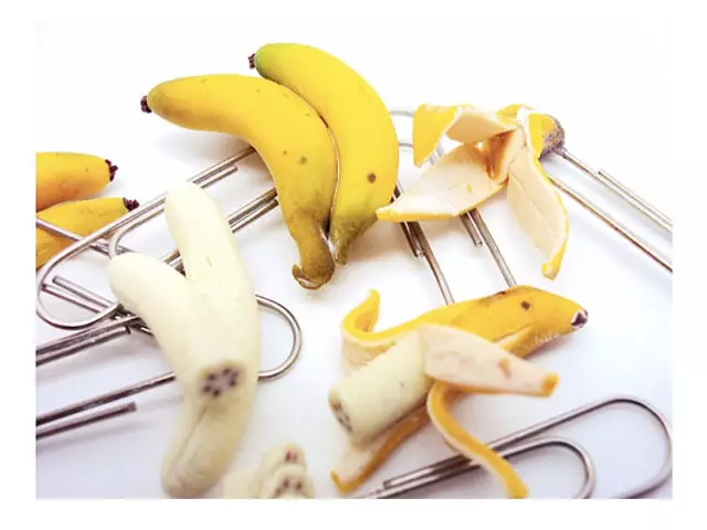 il_570xN.394094360_m4z3