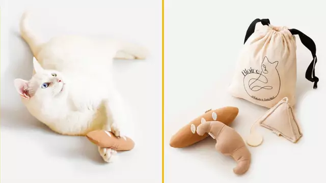 petit-croissant-chat