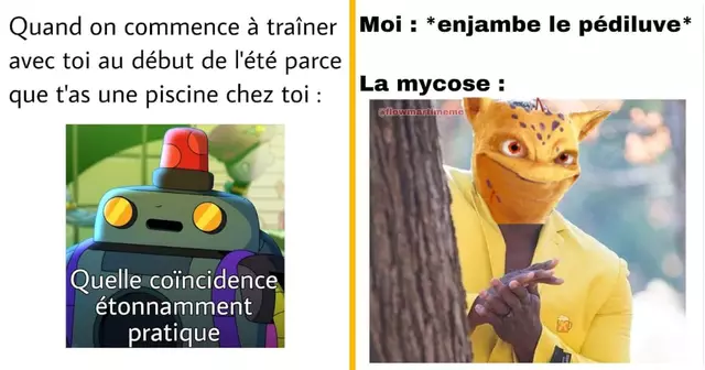 MemesPiscine