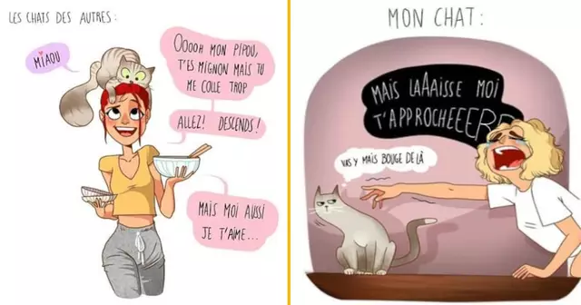 top angele illustrations