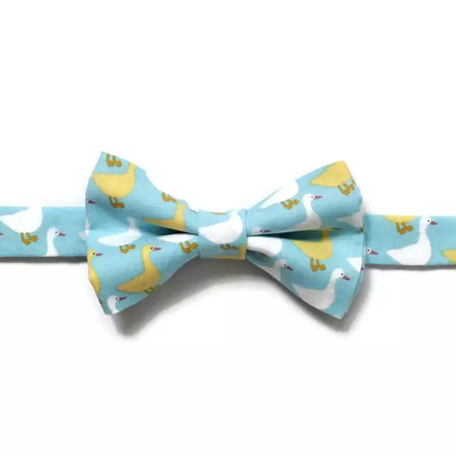 il_570xN.988450334_5x17