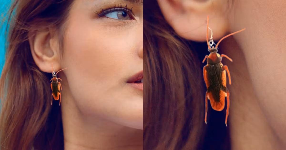 boucle-oreille-cafard