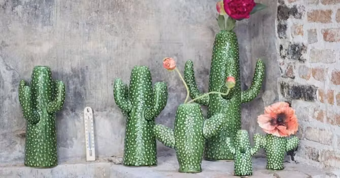 vase-cactus