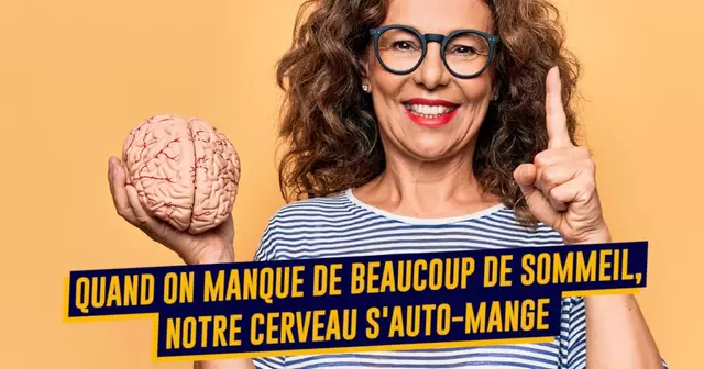 cerveau-top