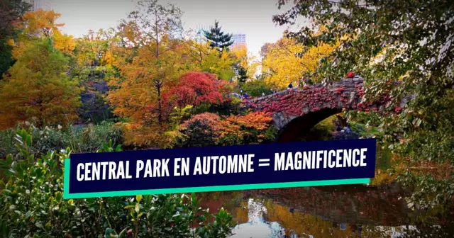 une_endroits_automne