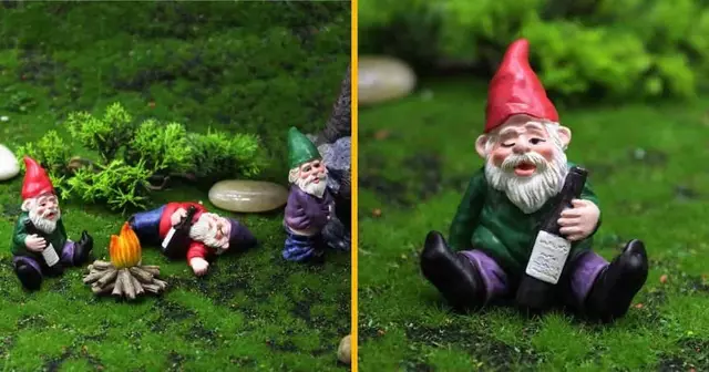 gnomes-cuite-jardin
