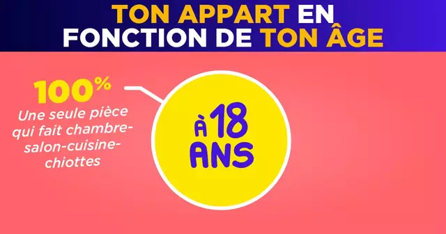 INFOGRAPHIES_APPART_FONCTION_AGE_Plan-de-travail-43