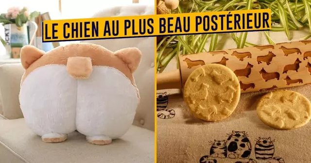 TOP_SHOPPING_CADEAUX_CORGI