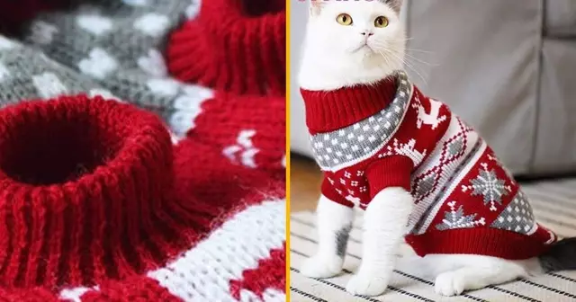 pull-chat-motifs-flocons-rennes