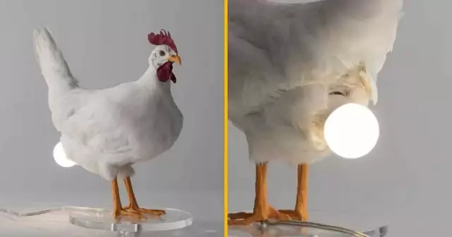 lampe-poule-oeuf