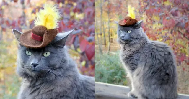 chapeau-chat-botte