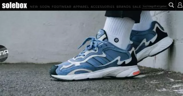 site-sneakers-solebox