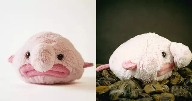 peluche-blobfish