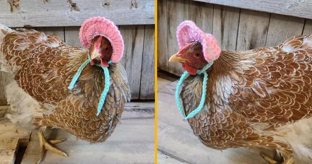 bonnet-poule-tricot