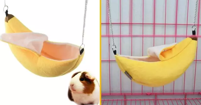 lit-hamac-banane-animaux