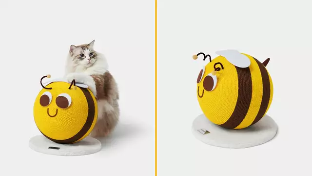 GRIFFOIR-ABEILLE-CHATS