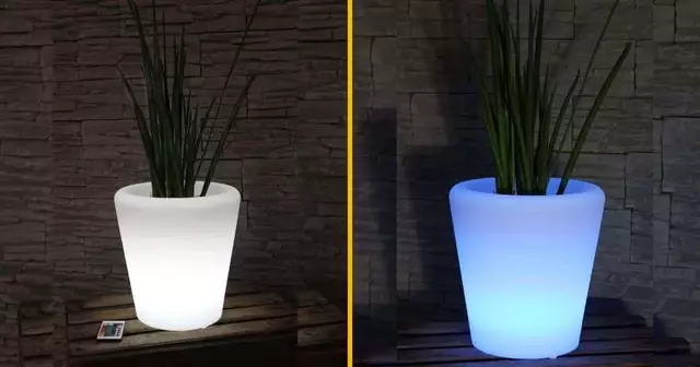 des-gros-pots-de-fleurs-led-qui-changent-de-couleur