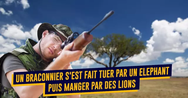 TOP morts connes 2019