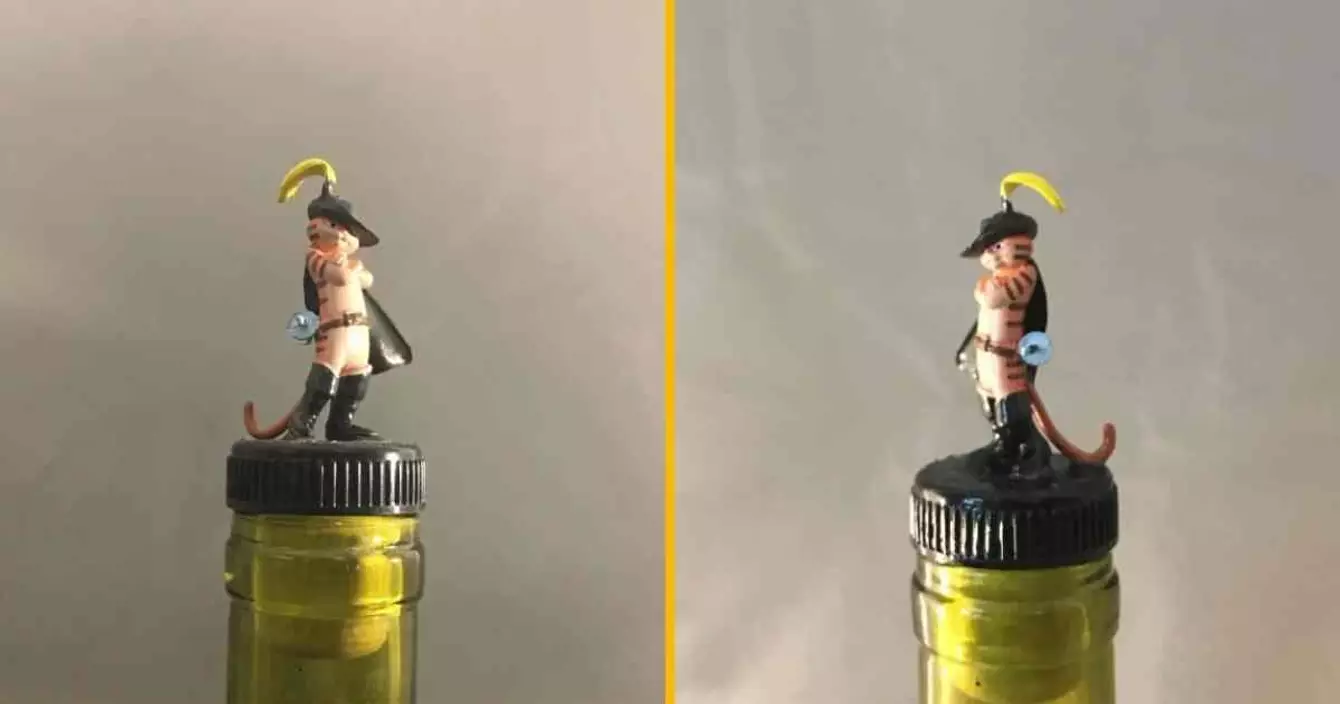 un-bouchon-de-bouteille-le-chat-botte