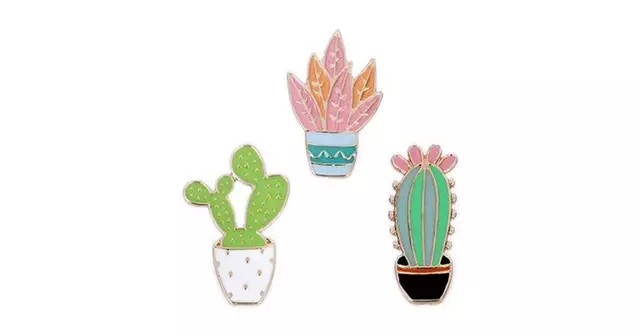 pins-cactus