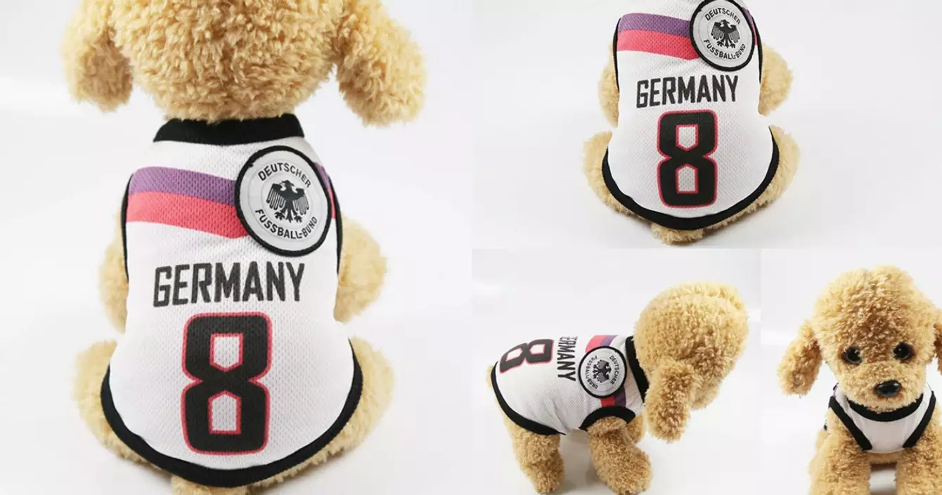 gilet-chien-allemagne
