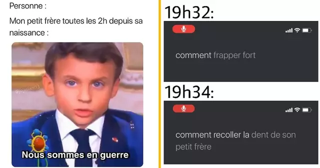 top memes freres