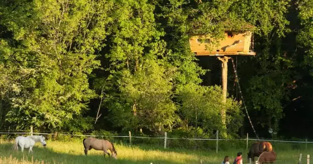 cabane-perchee-10-metres-bretagne