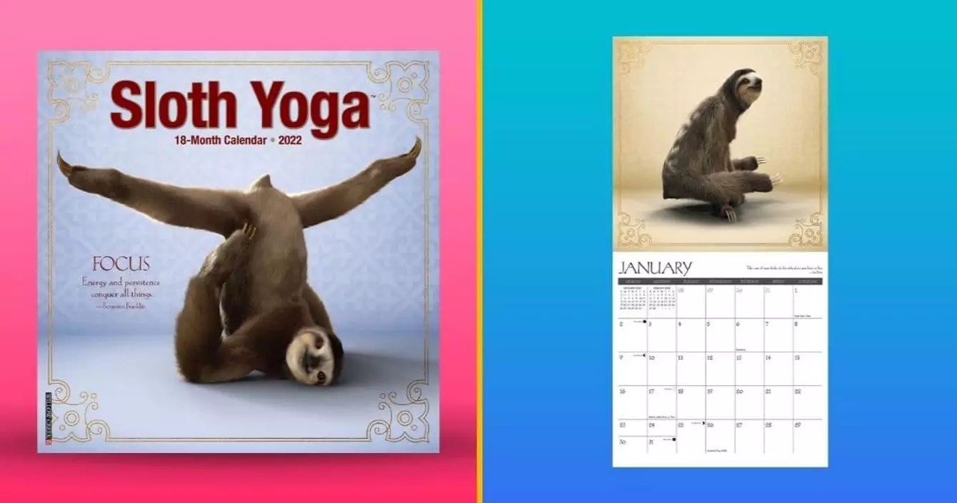 calendrier-paresseux-yoga