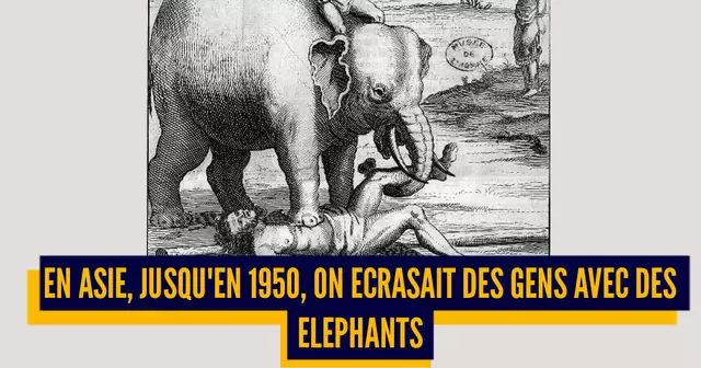 une_executions_animaux