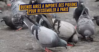 UNE_villes_iimitations