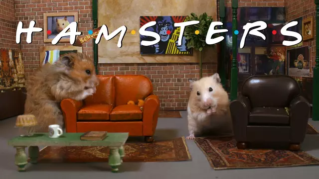 une_hamsters