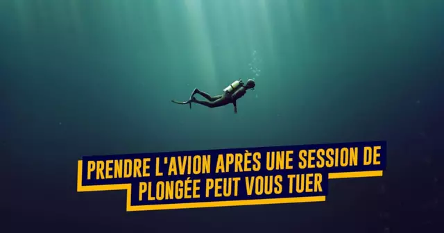 plongeavion