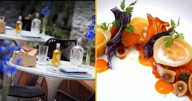 Origin by Renaissance