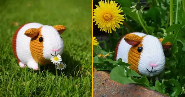 modele-crochet-cochon-inde